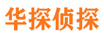 静安市调查公司